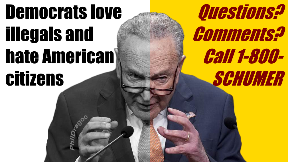 Schumer Democrats love illegals