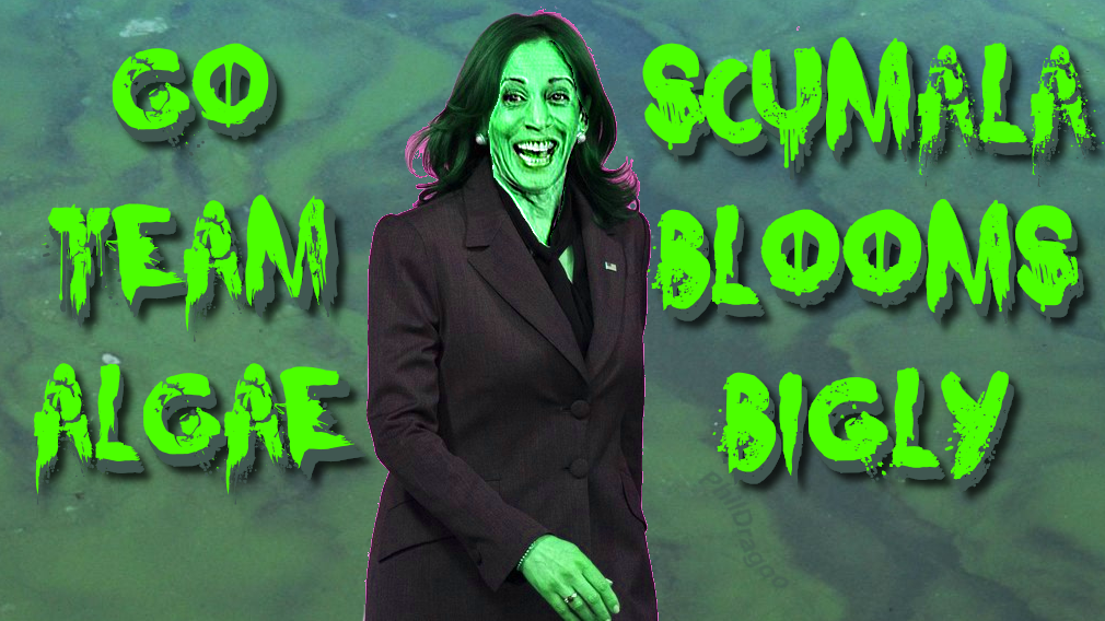 Scumala Team Algae