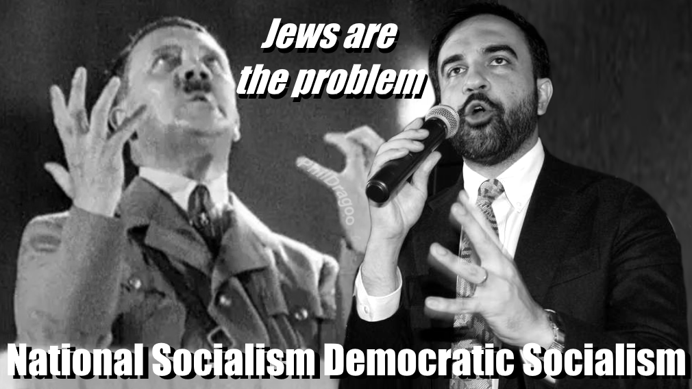 NatSoc DemSoc