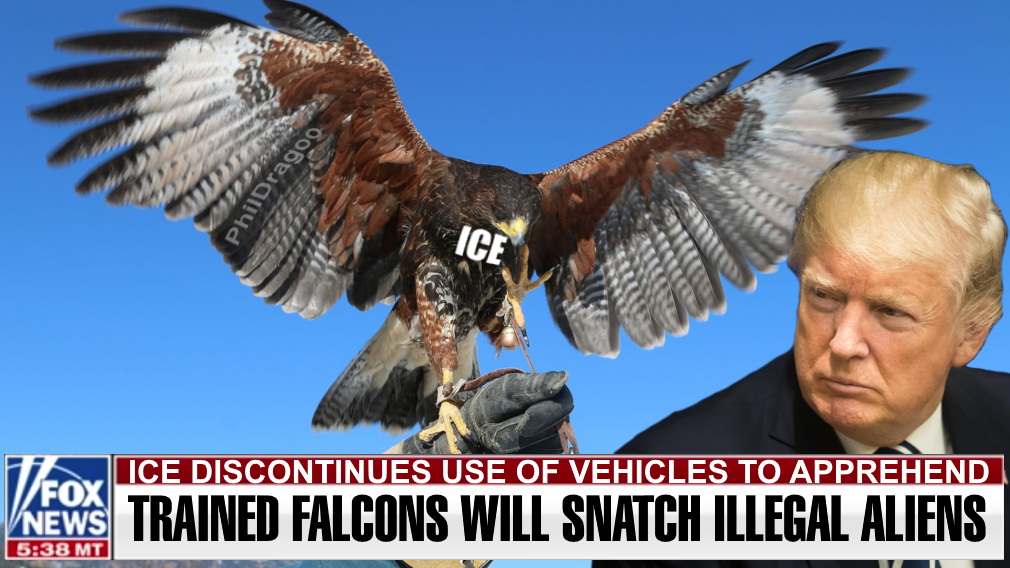 Trump ICE Falcon
