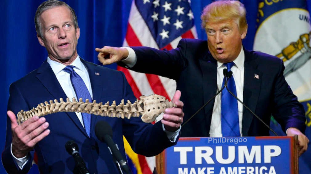John Thune  spine implant